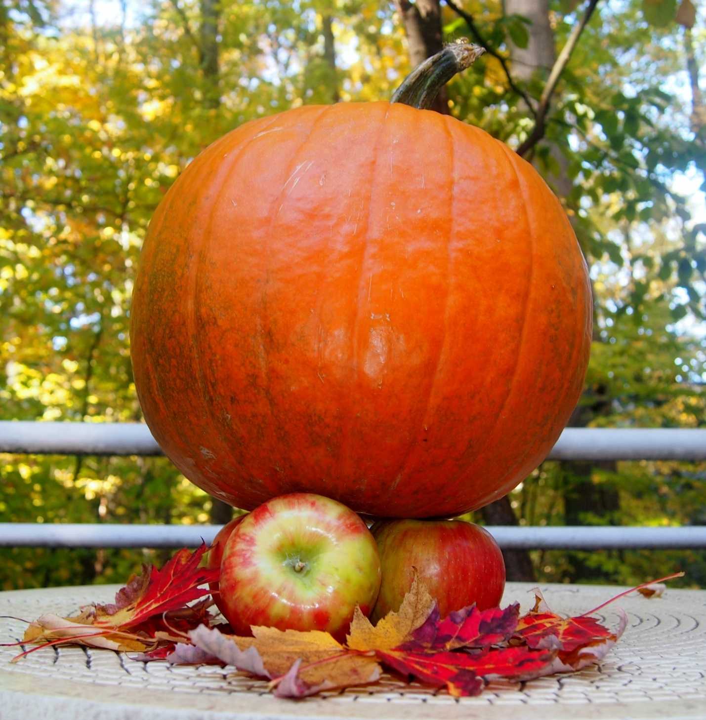 Pumpkin apple compressed